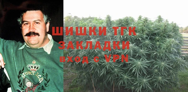PSILOCYBIN Балабаново
