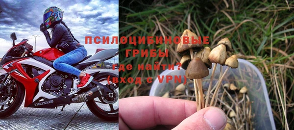PSILOCYBIN Балабаново