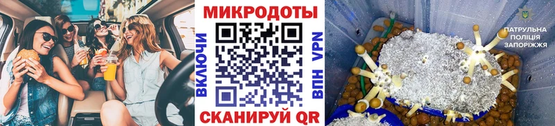 Псилоцибиновые грибы Psilocybe  kraken рабочий сайт  Калуга  цена наркотик 