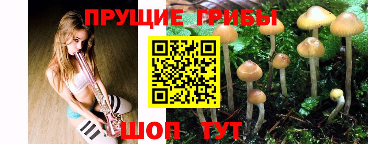 Калуга  Псилоцибиновые грибы Psilocybine cubensis  Вход с VPN 