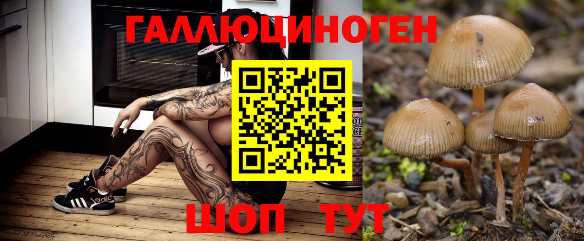 Галлюциногенные грибы мицелий Калуга